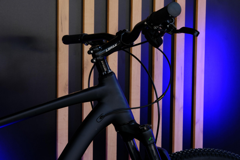 LORAK Sel 9960 Матовый Чёрный рама 21 (на рост 182-195)